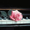 Rose Blossom Piano Diamond Painting