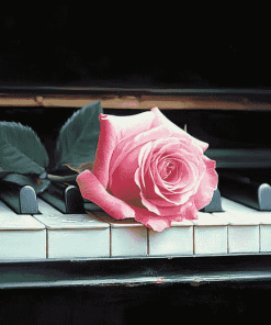 Rose Blossom Piano Diamond Painting