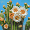 Saguaro Cactus Blossoms Diamond Painting