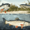 Sea Trout Fish Diamond Painting