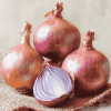 Shallots Onion Diamond Painting