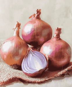 Shallots Onion Diamond Painting