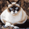 Siamese Snowshoe Kitty Diamond Painting