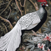 Silver Pheasant Bird Diamond Painting