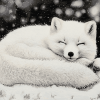 Sleepy Arctic Fox Winter Diamond Painting