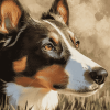 Smooth Collie Puppies Diamond Painting