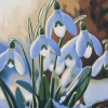 Snowdrops Blossoms Diamond Painting