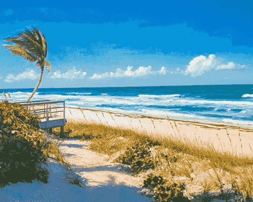 Space Coast Beaches Diamond Painting