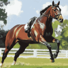 Sporty Pony Diamond Painting