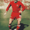 Steve Heighway Famous Footballer Diamond Painting