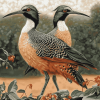 Strand Bird Diamond Painting