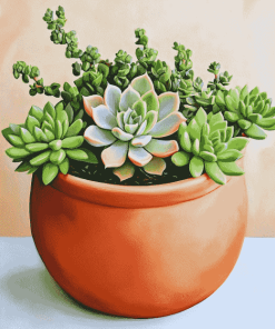 Succulent Plants Diamond Painting