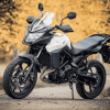 Suzuki DL 650 Adventure Diamond Painting