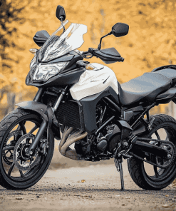 Suzuki DL 650 Adventure Diamond Painting