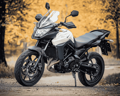 Suzuki DL 650 Adventure Diamond Painting