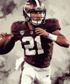 TAMU Football Star Diamond Painting