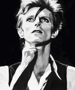 Thin White Duke Monochrome Diamond Painting