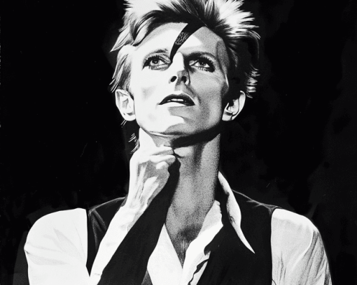 Thin White Duke Monochrome Diamond Painting