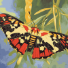 Tiger Moth Butterfly Diamond Painting