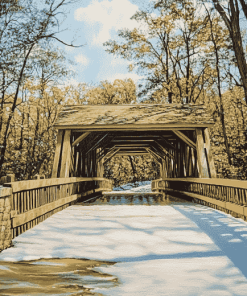 Toledo Wildwood Bridge Diamond Painting