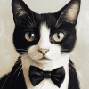 Tuxedo Cat Beauty Diamond Painting