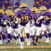 University Northern Iowa Panthers Football Diamond Painting