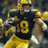 University of Michigan Football Diamond Painting