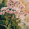 Valerian Blossoms Diamond Painting