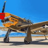 Vintage Curtiss P 40 Warhawk Diamond Painting