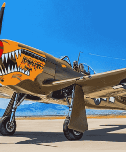 Vintage Curtiss P 40 Warhawk Diamond Painting