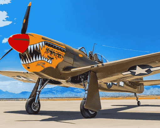 Vintage Curtiss P 40 Warhawk Diamond Painting