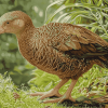 Weka Bird Diamond Painting