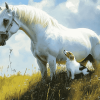 White Horse and Mini Aussie Friendship Diamond Painting