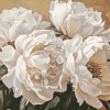 White Peonies Blossoms Diamond Painting