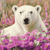 White Polar Bear Flowers Diamond Painting