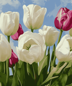 White Tulips Blossom Diamond Painting