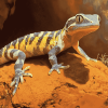 Wild Gecko Reptile Diamond Painting