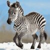 Wild Zebra Baby Diamond Painting