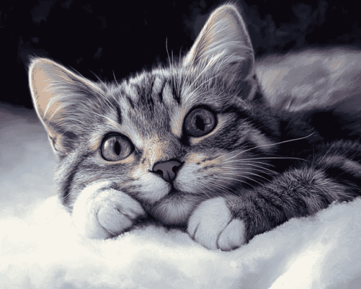 Winter Cat Diamond Painting