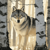 Wolf Among Birches Diamond Painting