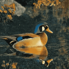 Wood Duck Wildlife Diamond Painting