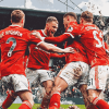 Wrexham AFC Football Diamond Painting