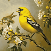 Yellow Finch Bird Diamond Painting