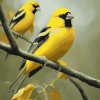 Yellow Finch Diamond Painting