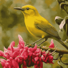 Yellow Hawaiian Honeycreeper Birds Diamond Painting