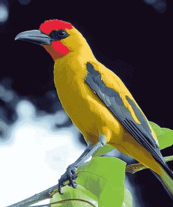 Yellow Old World Orioles Diamond Painting