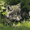 "Adorable Baby Wolf Diamond Painting"