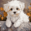 Adorable Maltese Puppy Diamond Painting