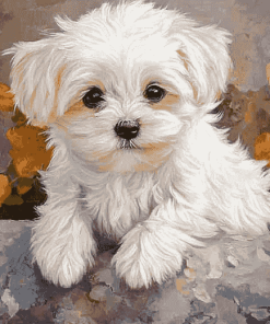 Adorable Maltese Puppy Diamond Painting