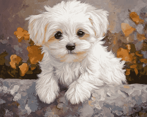 Adorable Maltese Puppy Diamond Painting